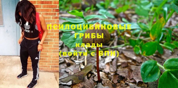 прущая мука Нея