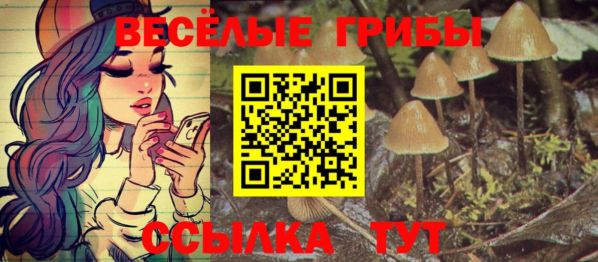 купить закладку  Вход с VPN  Владимир  Галлюциногенные грибы MAGIC MUSHROOMS 