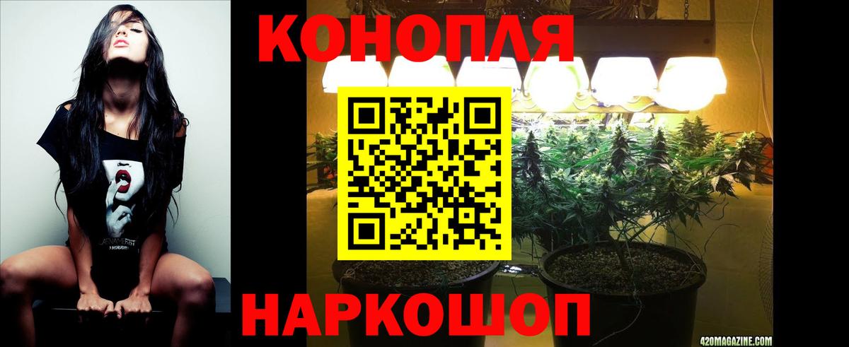 Марихуана гибрид Владимир